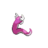 shiny (dorso)