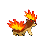 shiny (dorso)