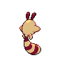shiny (dorso)