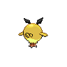 shiny (dorso)