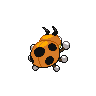 shiny (dorso)