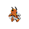 shiny (dorso)
