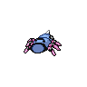 shiny (dorso)