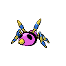 shiny (dorso)