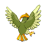 shiny (dorso)