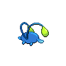 shiny (dorso)