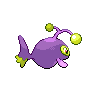 shiny (dorso)