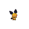 shiny (dorso)