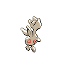 shiny (dorso)