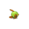 shiny (dorso)