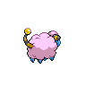 shiny (dorso)