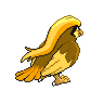 shiny (dorso)