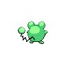 shiny (dorso)