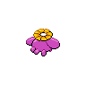shiny (dorso)