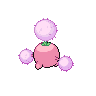 shiny (dorso)