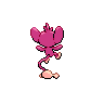 shiny (dorso)