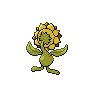 shiny (dorso)
