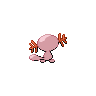 shiny (dorso)