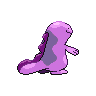 shiny (dorso)