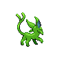 shiny (dorso)