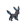 shiny (dorso)