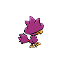 shiny (dorso)