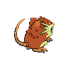shiny (dorso)