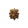 shiny (dorso)