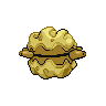 shiny (dorso)