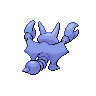 shiny (dorso)