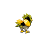 shiny (dorso)