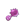 shiny (dorso)