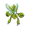 shiny (dorso)