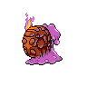 shiny (dorso)