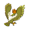 shiny (dorso)