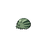 shiny (dorso)