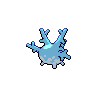 shiny (dorso)