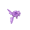 shiny (dorso)
