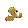 shiny (dorso)