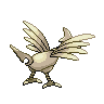shiny (dorso)
