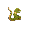 shiny (dorso)