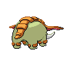 shiny (dorso)