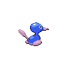 shiny (dorso)