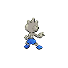 shiny (dorso)