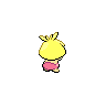 shiny (dorso)