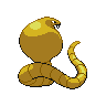 shiny (dorso)