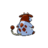 shiny (dorso)