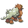 shiny (dorso)