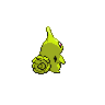 shiny (dorso)