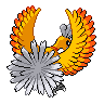 shiny (dorso)